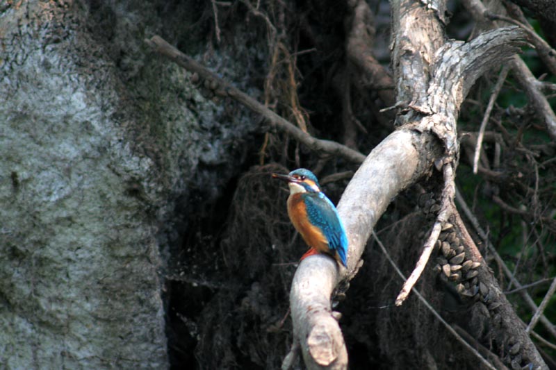 Killikus® Fotographie Killikus® Fotographie